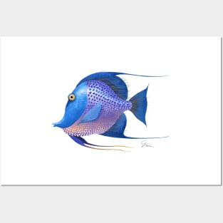 Blue Purple Angel Fish Posters and Art